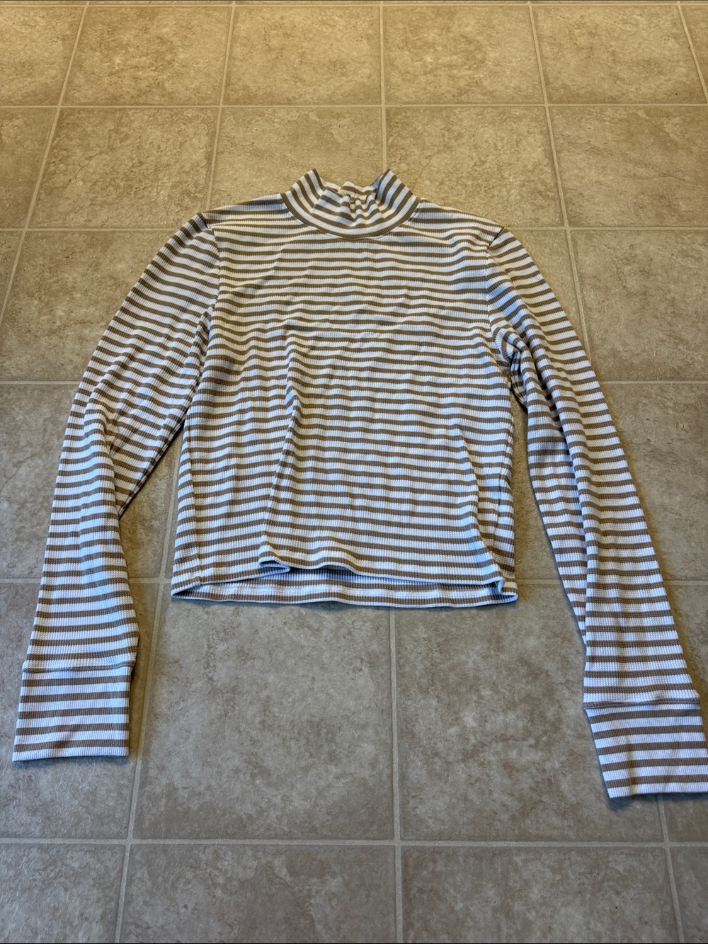 Striped Long-Sleeve Crop Top Mock Neck Top in White and Brown
